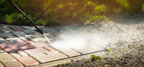 Best Dumpster Area Cleaning  in Plandome, NY